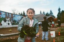 Seahurst Elementary student works in a rain garden at the school