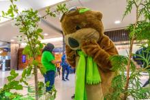 Jett the SEA Otter is amazed by the Earth Day plants in the terminal