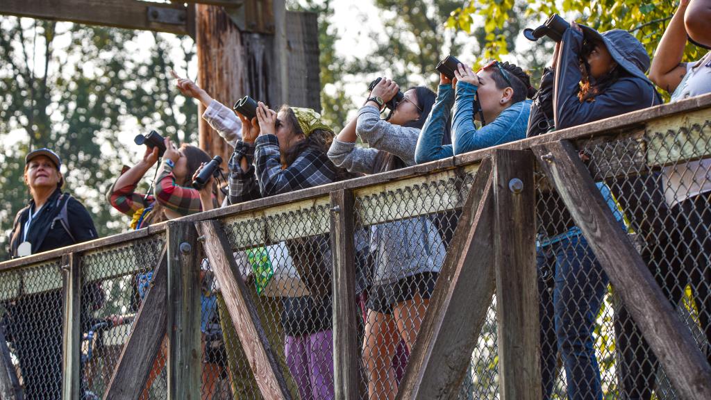 Women of color birdwatching in nature